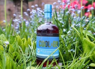 Testbericht MAĒMO Cool & Gin