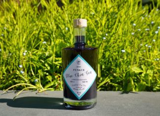 Testbericht Penker Blue Chin Gin
