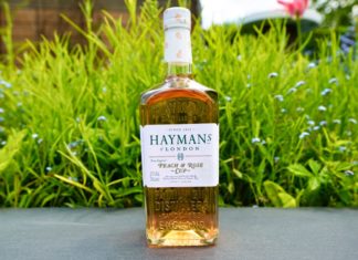 Testbericht Hayman’s of London Peach & Rose CUP