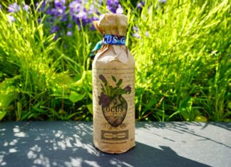 Testbericht Ocus Gin