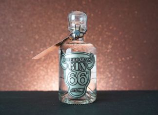 Testbericht Buffalo Grass Gin 66