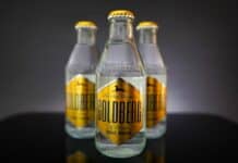 Testbericht Goldberg Tonic Water