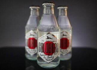 Testbericht Goldberg Japanese Yuzu Tonic