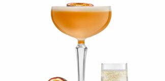 The Rebellious Pornstar Martini – Gin Cocktail
