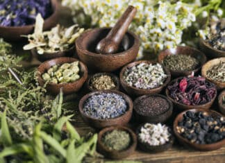 11 Homemade Infusions – Für leckeren Gin zu jeder Jahreszeit