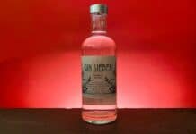 Testbericht Gin Sieben