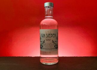 Testbericht Gin Sieben